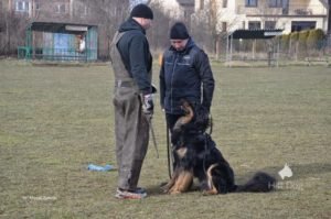 Trening IPO z Jackiem Lewkowiczem