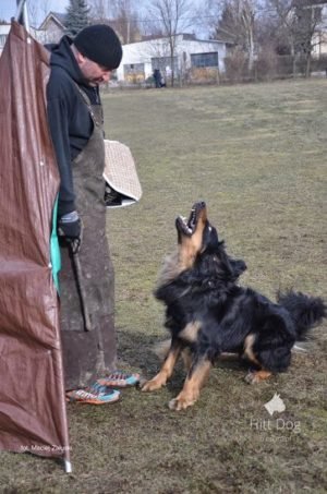 Trening IPO z Jackiem Lewkowiczem