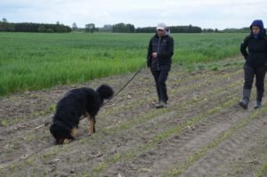 Basile Trzy Wiedzmy - trening tropienie z Marzeną Łączyńską