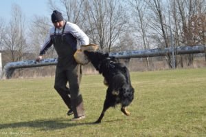 Trening IPO z Jackiem Lewkowiczem