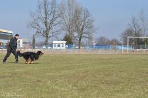 Trening IPO z Jackiem Lewkowiczem