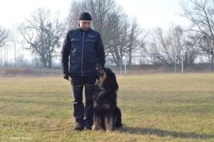 Trening posłuszeństwo Hovawart Basile Trzy Wiedzmy z Jackiem Lewkowiczem