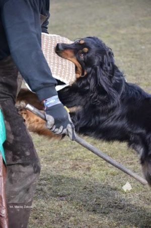 Trening IPO z Jackiem Lewkowiczem