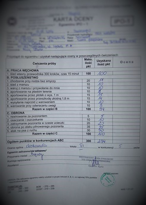 IPO-1-Basile-Trzy-Wiedzmy